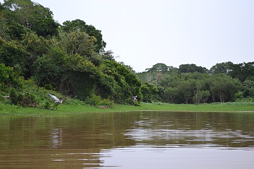 Cercado Province (Beni)